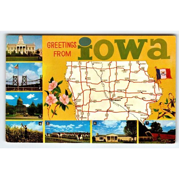Greetings From Iowa State Map Postcard Chrome Flag Horses Farms Flowers Vintage - Picture 1 of 2